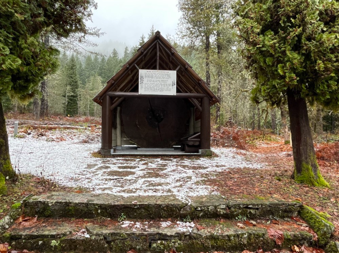 Wind River Arboretum, United States